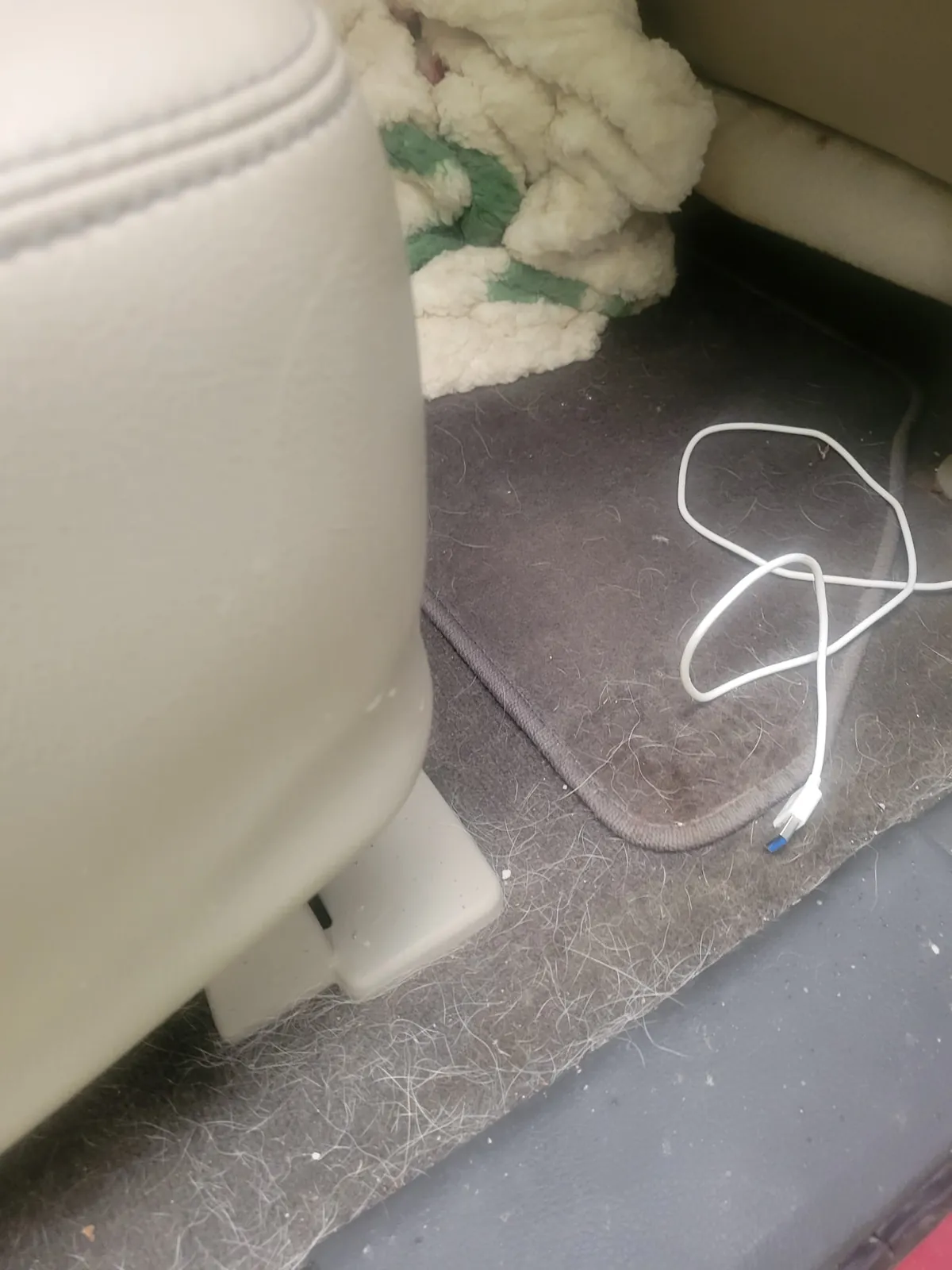 Before: Ford Edge cargo area full of dog hair and debris before detailing in Ajax