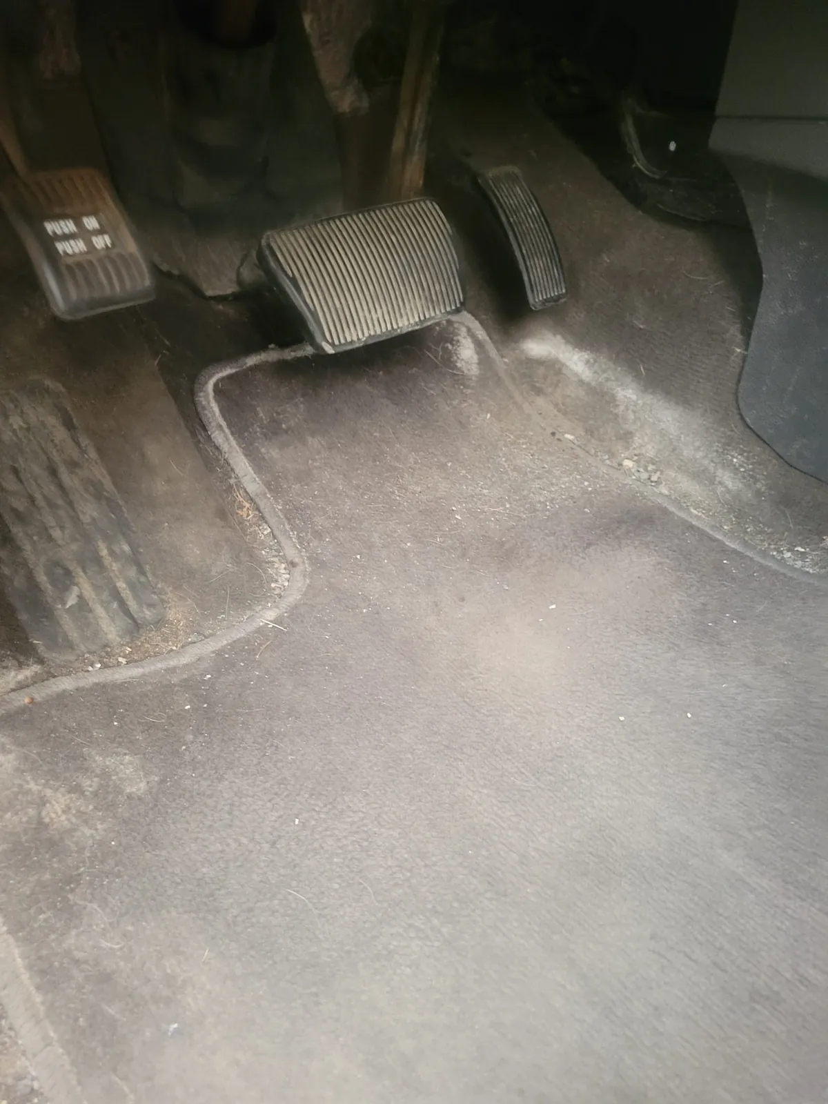 Dog hair and debris embedded in the carpet and seats of a Ford Edge before interior detailing in Ajax